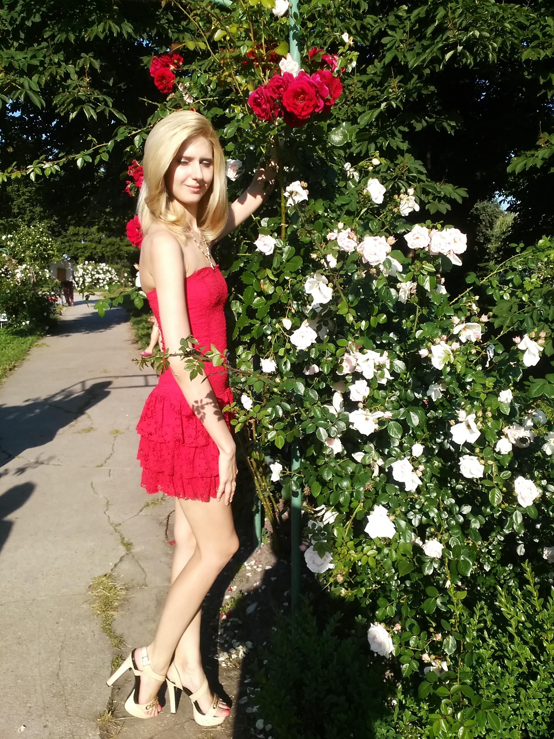 Путешествия